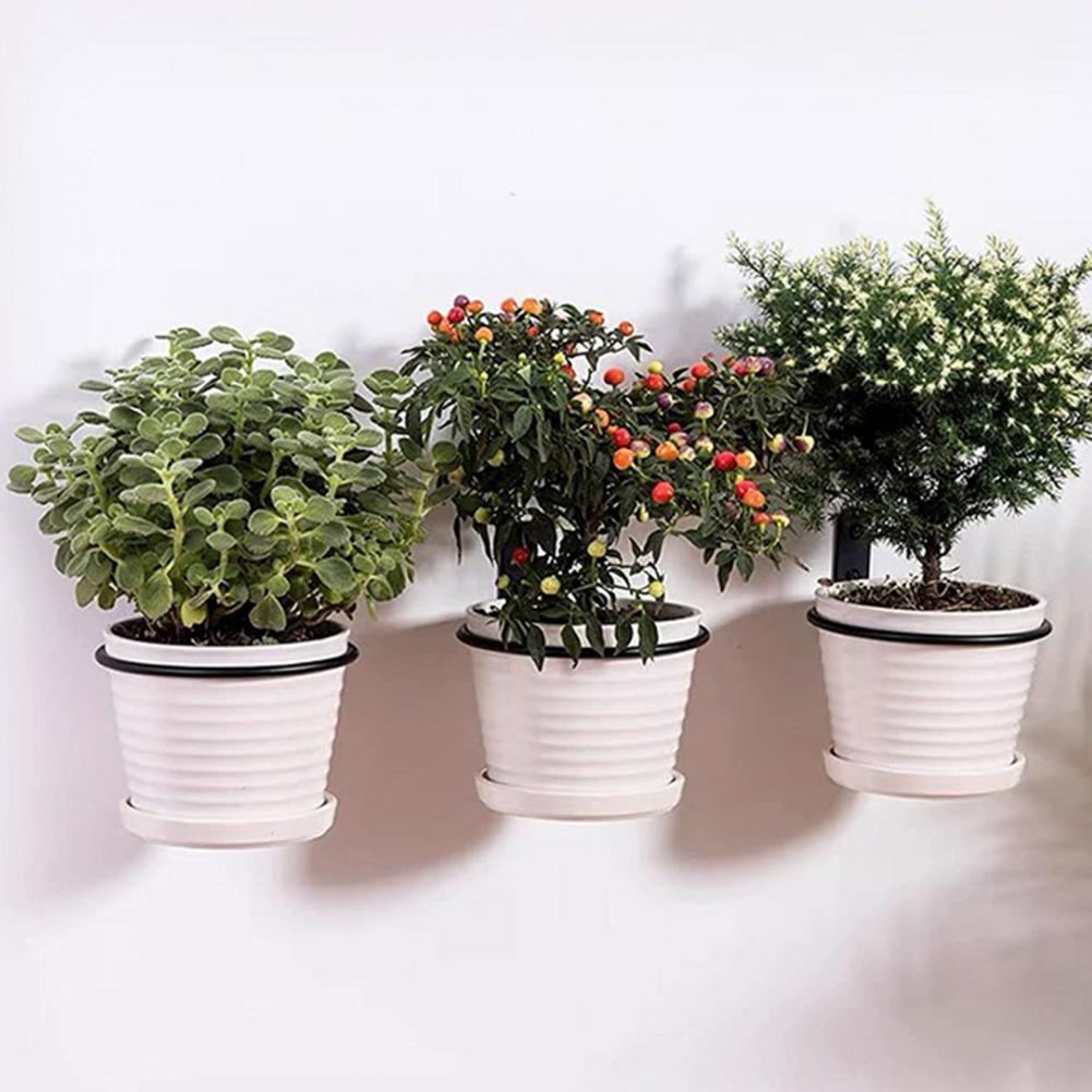 4/5/6/8 Inches Metal Flowerpot - đánh giá và giá Screw Organizer Kit