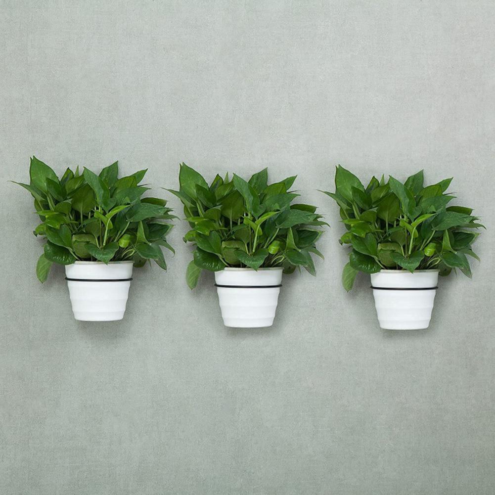 4/5/6/8 Inches Metal Flowerpot - đánh giá và giá Screw Organizer Kit